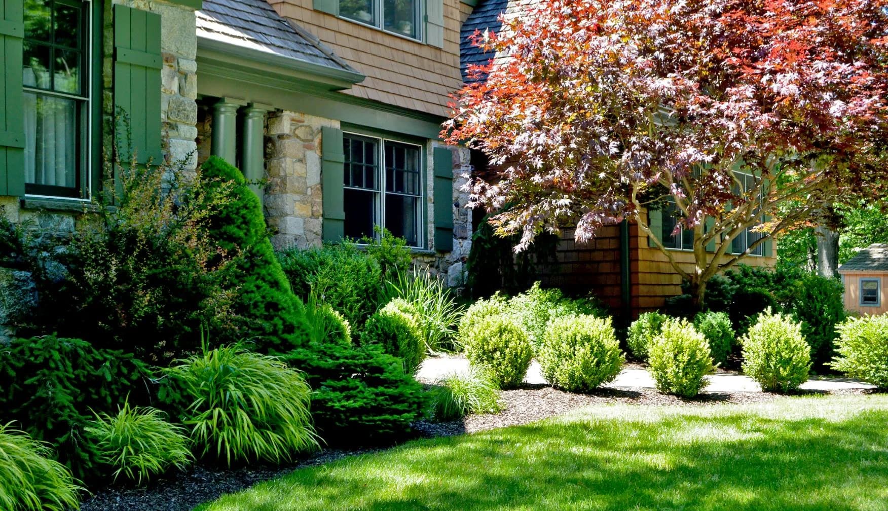Tree & Shrub Planting Services in Chesapeake, VA