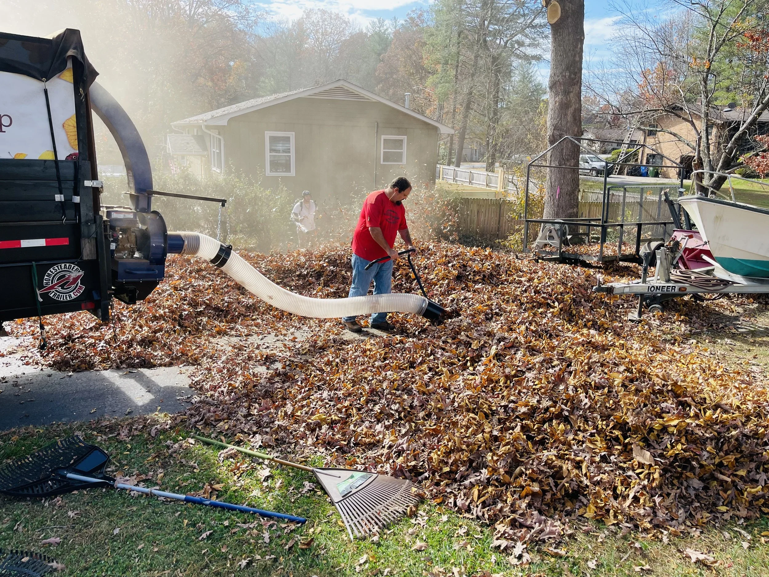 Leaf Removal in Norfolk project 1