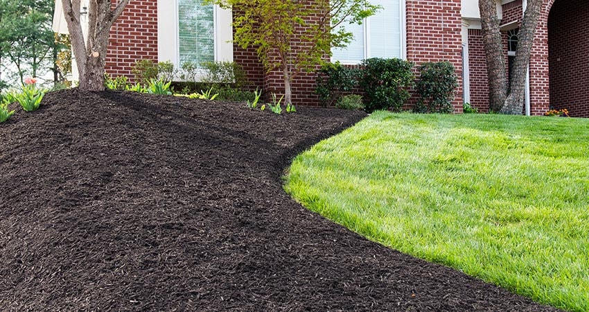 Mulch Installation in Suffolk project 2