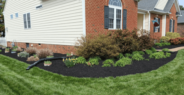 Mulch Installation in Suffolk project 4