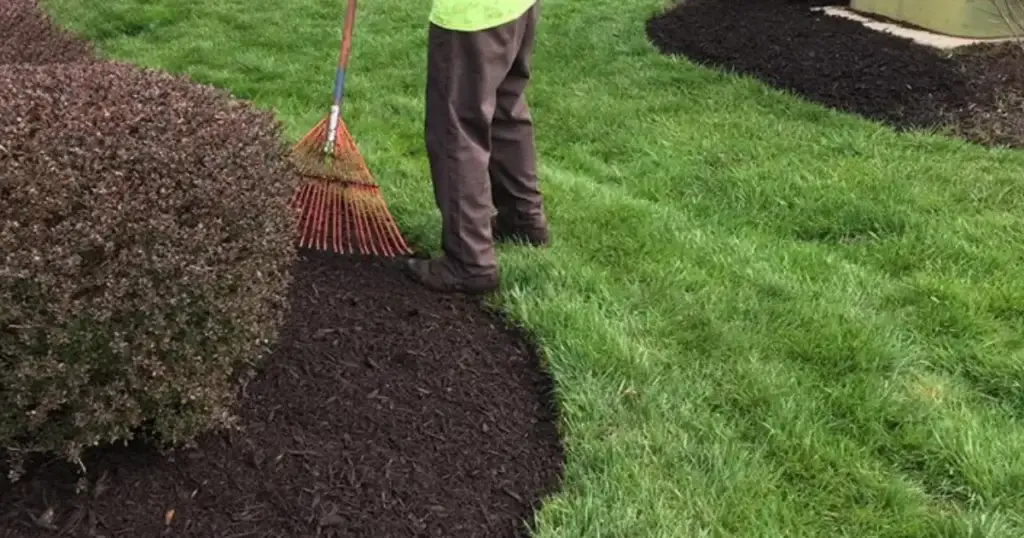 Mulch Installation in Suffolk project 7
