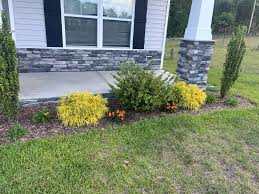 Tree & Shrub Planting in Suffolk project 5