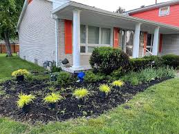 Tree & Shrub Planting in Suffolk project 6