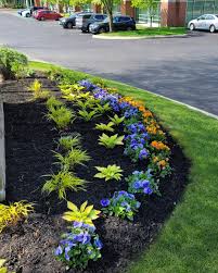 Tree & Shrub Planting in Suffolk project 7