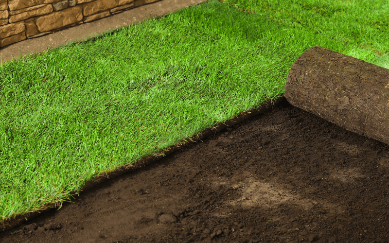 Sod Installation in Chesapeake project 1