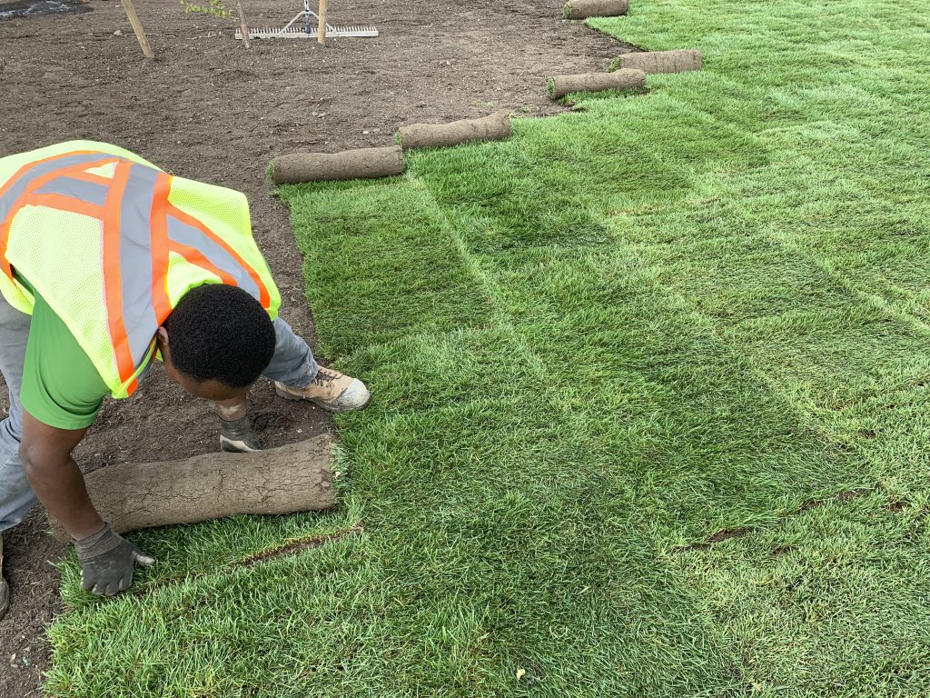 Sod Installation in Chesapeake project 2