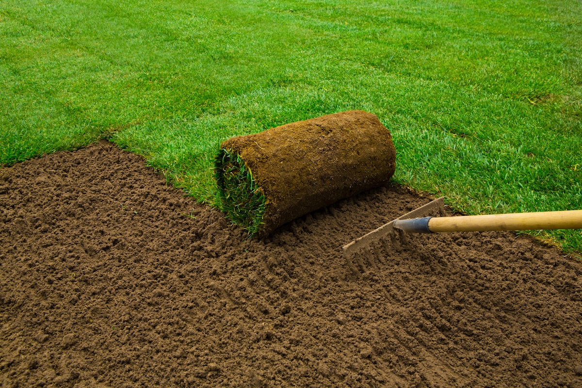 Sod Installation in Chesapeake project 3