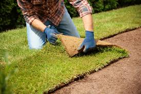 Sod Installation in Chesapeake project 4