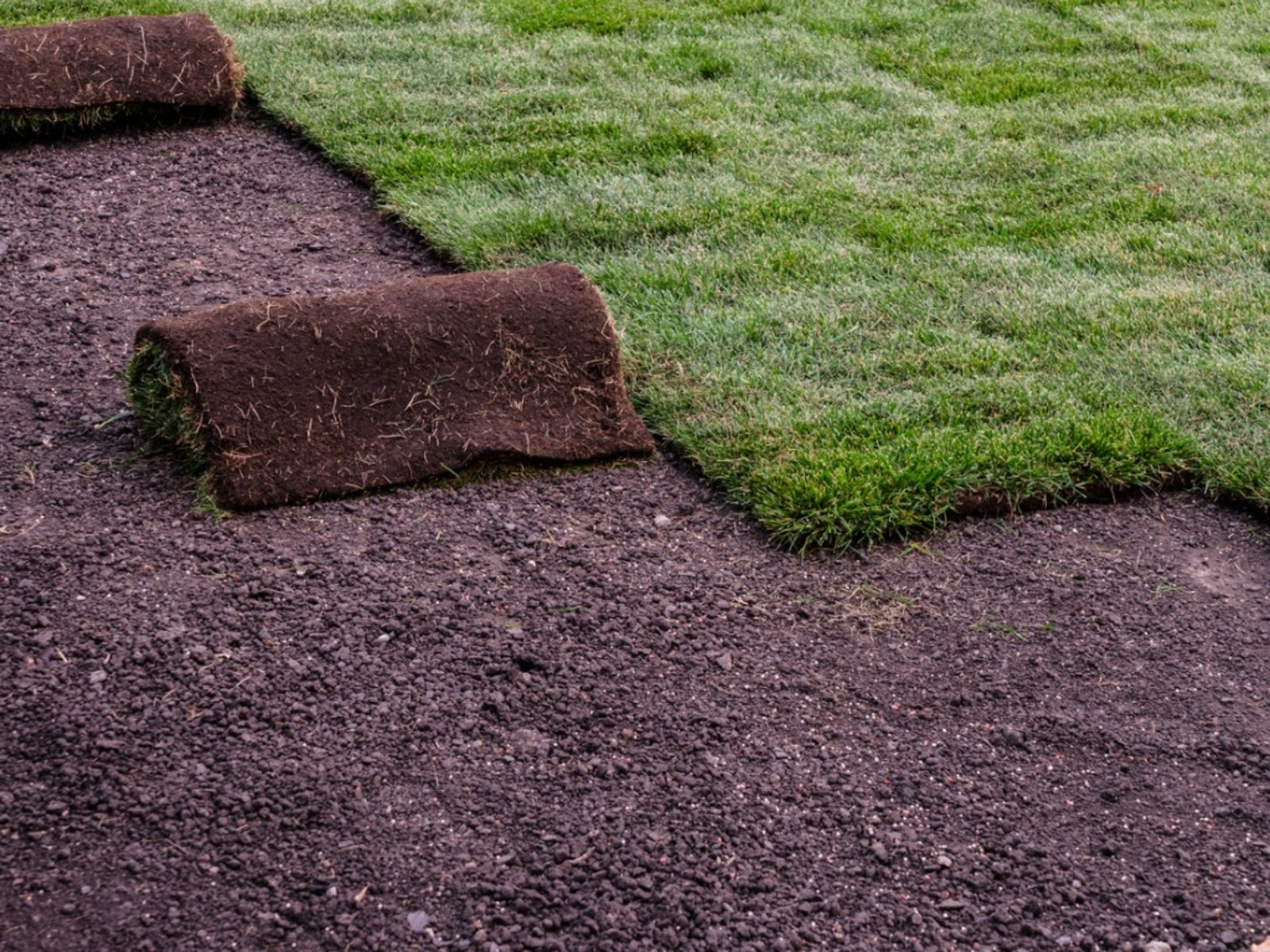 Sod Installation in Chesapeake project 6
